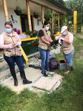 Actividades