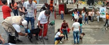 La UES VALLE acompa&ntilde;&oacute; el festival canino en el municipio de zarzal