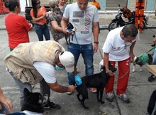 La UES VALLE realiza jornadas de vacunaci&oacute;n canina y felina en el departamento
