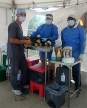 La UES VALLE acompa&ntilde;&oacute; jornada de esterilizaci&oacute;n canina y felina en el municipio de la cumbre
