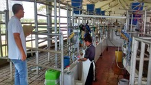 La UES VALLE brinda educaci&oacute;n sanitaria al personal ocupacionalmente expuesto a la brucelosis bovina