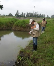 La UES VALLE realiz&oacute; caracterizaci&oacute;n de criaderos del mosquito anopheles en el municipio de zarzal