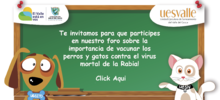 Dia mundial de la lucha contra la rabia