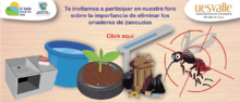 La semana de todos contra el zancudo