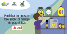 Manejo de Plaguicidas