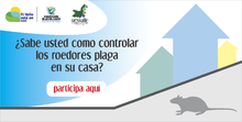 Como eliminar roedores plaga!