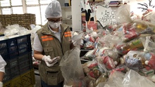Alimentos PAE