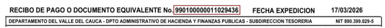 Informaci&oacute;n recibo pago estampilla
