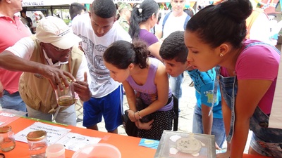 Boletin informativo - Primer taller comunitario