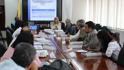 LA GESTIÓN DEL CODEPARH EN EL VALLE DEL CAUCA