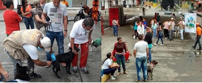 LA UES VALLE ACOMPAÑÓ EL FESTIVAL CANINO EN EL MUNICIPIO DE ZARZAL