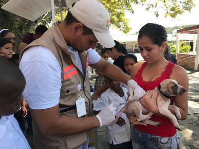 UESVALLE inició trabajo en saneamiento ambiental y salud ambiental en el Departamento