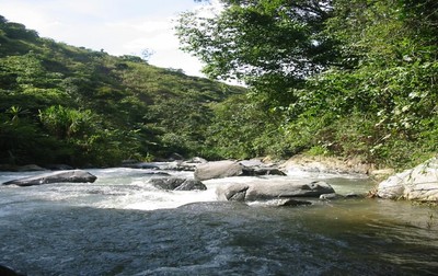 Gobierno departamental emitió decreto para hacer uso eficiente y racional del agua