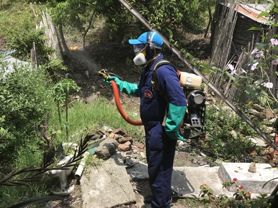 UESVALLE incrementa acciones contra el mosquito, ante la alerta  amarilla