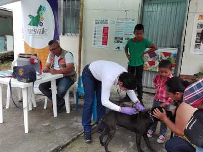 UESVALLE vacunará cerca de 160 mil mascotas en el Departamento