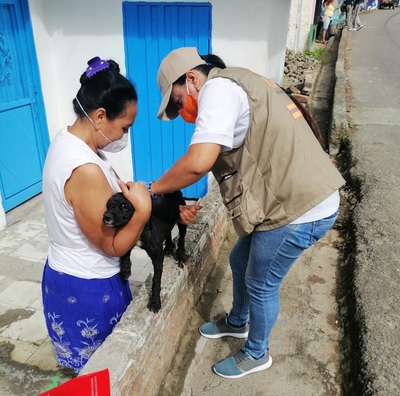 UESVALLE vacunará cerca de 170 mil mascotas en el Departamento