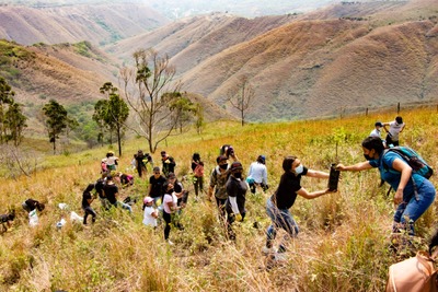 Más de 2.500 árboles serán sembrados este fin de semana en Pradera, Dagua y Vijes