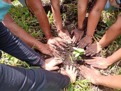 Con la siembra de mil árboles se cumplió jornada que busca preservar la cuenca del río Calima