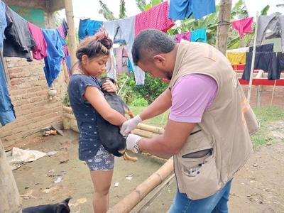 Más de 64 mil perros y gatos recibieron vacuna contra el virus de la rabia