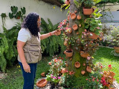 UESVALLE intensifica acciones frente a la propagación del zancudo transmisor del dengue