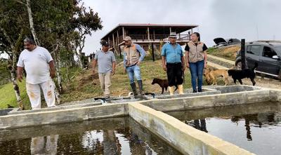 Agua de calidad consumen familias de la vereda El Jordancito en Dagua