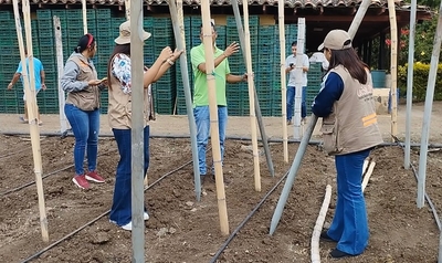 Envases de agroquímicos son transformados en ecotutores para el agro vallecaucano