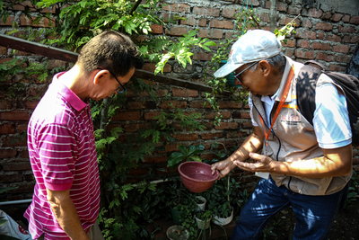 Dengue en el Valle avanza hacia su fase final.