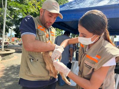 UESVALLE realiza jornadas de vacunación antirrábica gratuita para los peluditos.