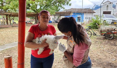 Llamado a vacunar a los peluditos contra el virus de la rabia