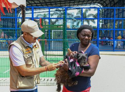 Semana de ‘Lucha contra la rabia'. Consulta aquí los puntos de vacunación