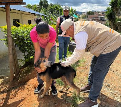 UESVALLE avanza en la vacunación antirrábica casa a  casa en 33 municipios.
