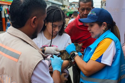 Con vacunaci&oacute;n antirr&aacute;bica, la Gobernaci&oacute;n mantiene al Valle del Cauca protegido contra el virus de la rabia