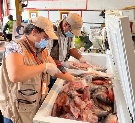 Decomiso de pescado y productos c&aacute;rnicos deja el balance de operativos de control durante la semana santa