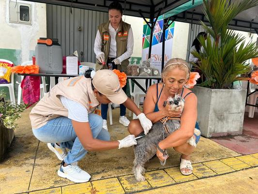 UESVALLE super&oacute; la meta y vacun&oacute; gratuitamente a m&aacute;s de 7.000 perros y gatos en el marco del D&iacute;a Mundial de la Lucha Contra la Rabia