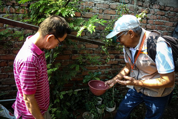 Dengue en el Valle avanza hacia su fase final.