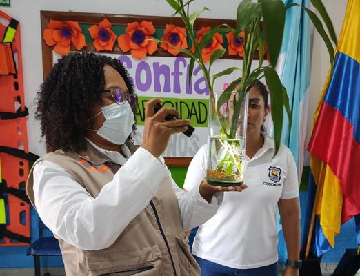 Gobernaci&oacute;n del Valle contin&uacute;a sus acciones preventivas contra el vector del dengue