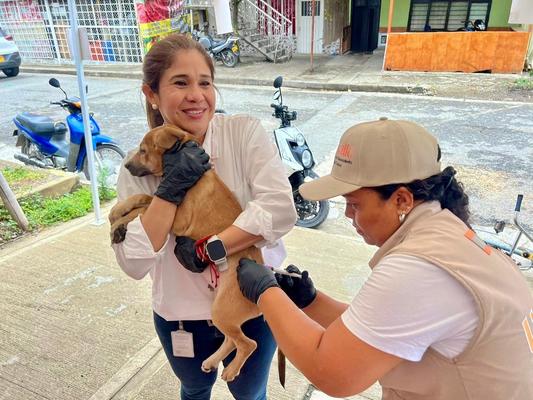M&aacute;s de diez mil mascotas fueron vacunadas contra el virus de la rabia