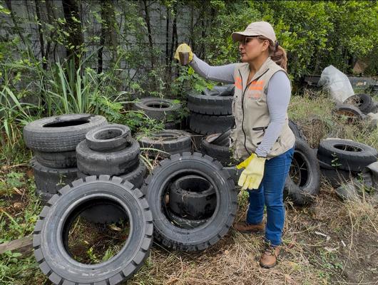 Gobernaci&oacute;n del Valle brinda recomendaciones para prevenir el dengue.